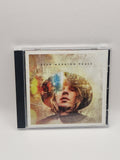 Beck – Morning Phase
