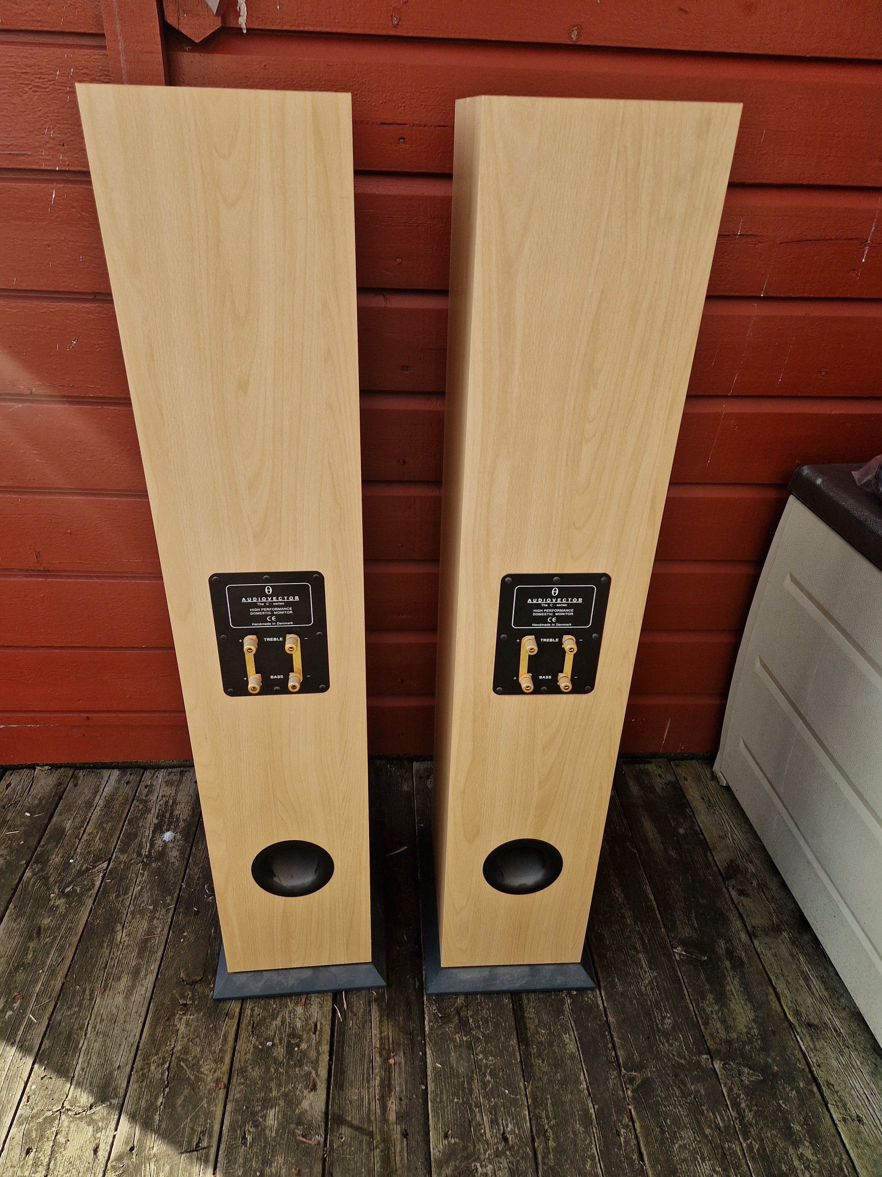 Bakside med terminaler og bassport