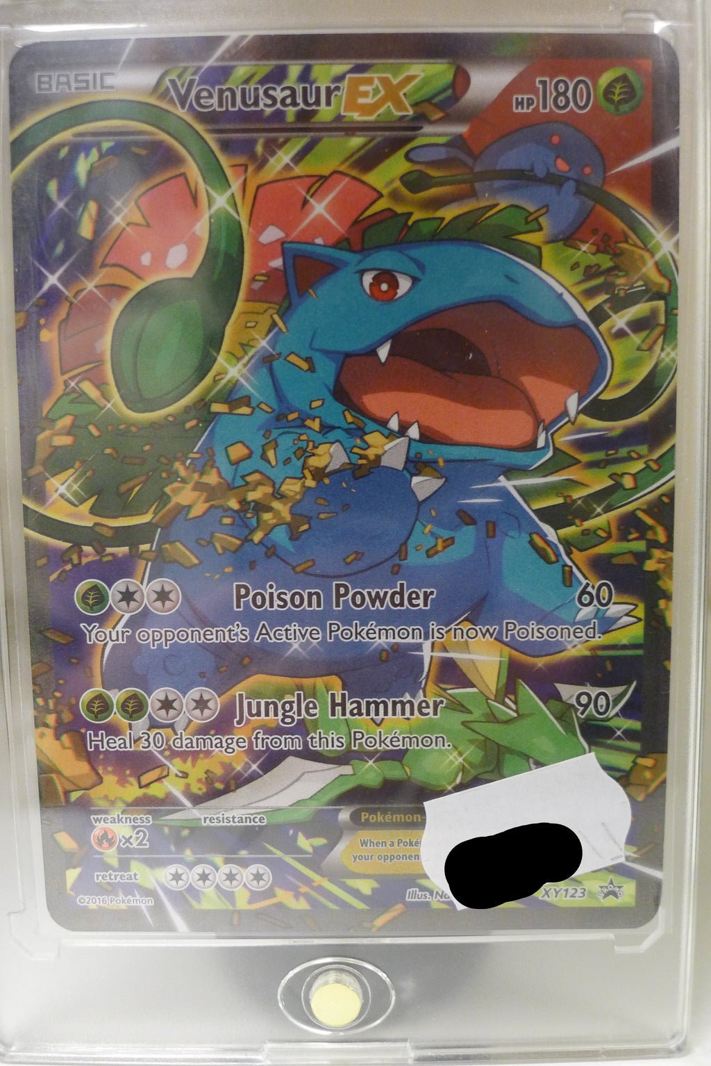 Venusaur EX – XY123 Black Star Promo | Selges