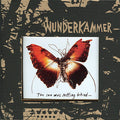 Wunderkammer – Today I Cannot Hear Music
