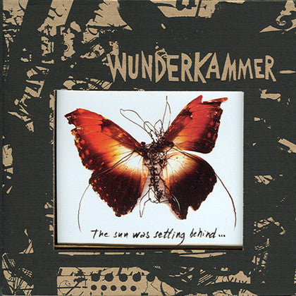 Wunderkammer – Today I Cannot Hear Music