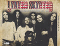 Lynyrd Skynyrd – The Collection