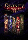 Divinity: Original Sin (PlayStation 4) cover – original spillcover