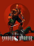 Shadow Warrior (Xbox One) cover – original spillcover