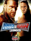 WWE SmackDown vs. Raw 2009 (Nintendo Wii) cover – original spillcover