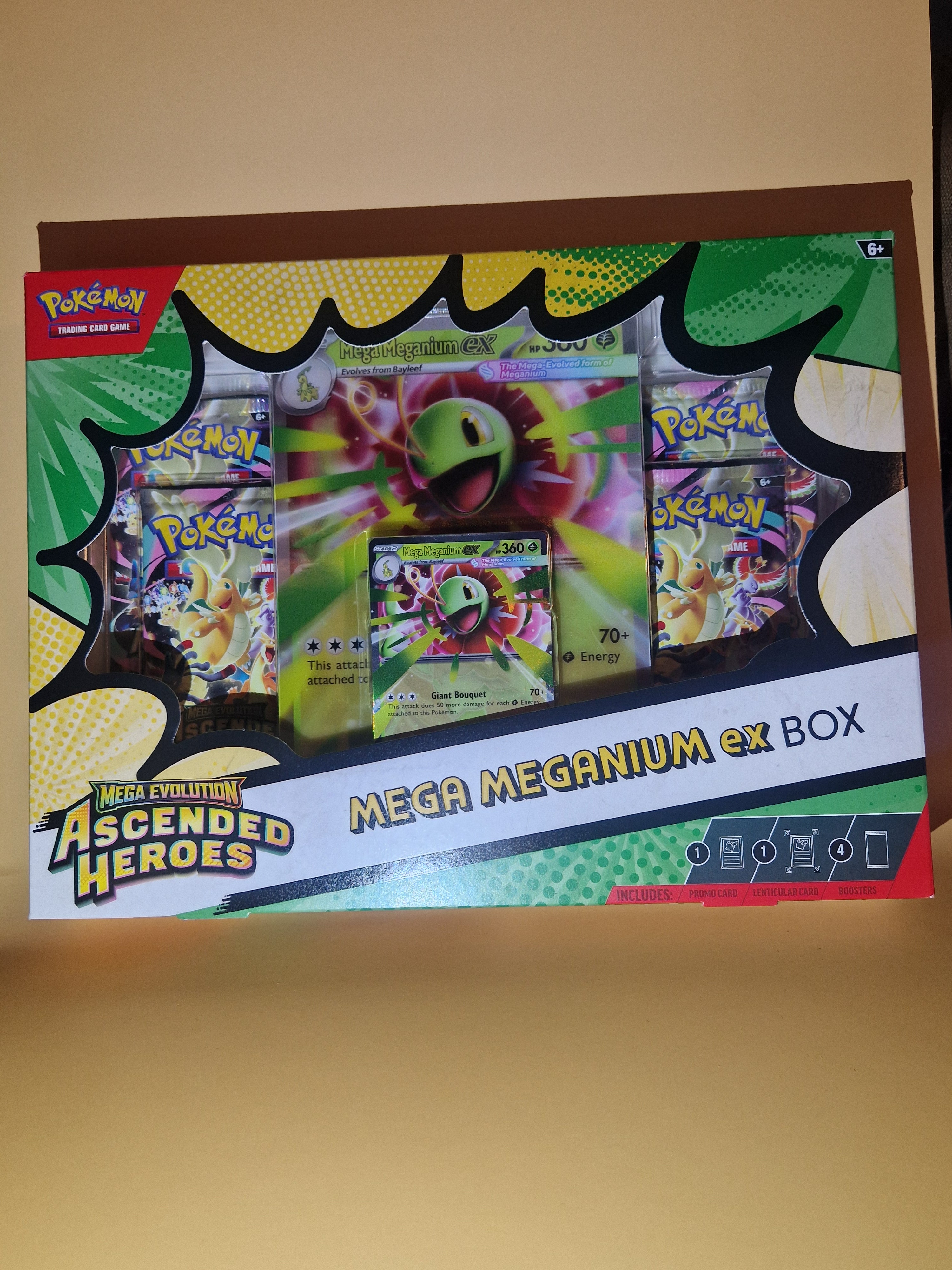 Mega Meganium ex Box front